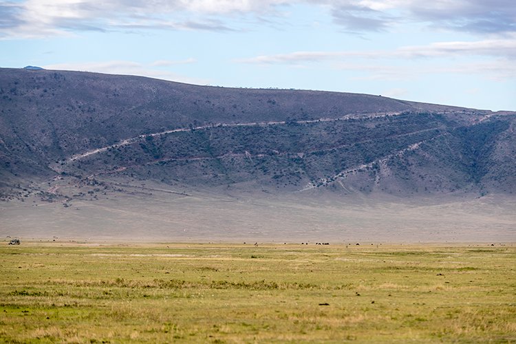 TZA ARU Ngorongoro 2016DEC26 Crater 018